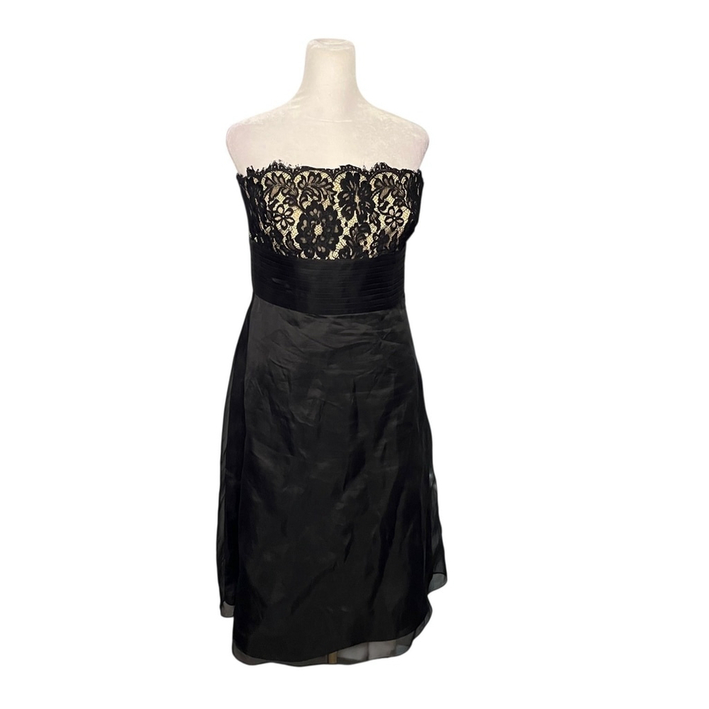 Ann Taylor Black Lace Silk Organza Cocktail Dress Size 10